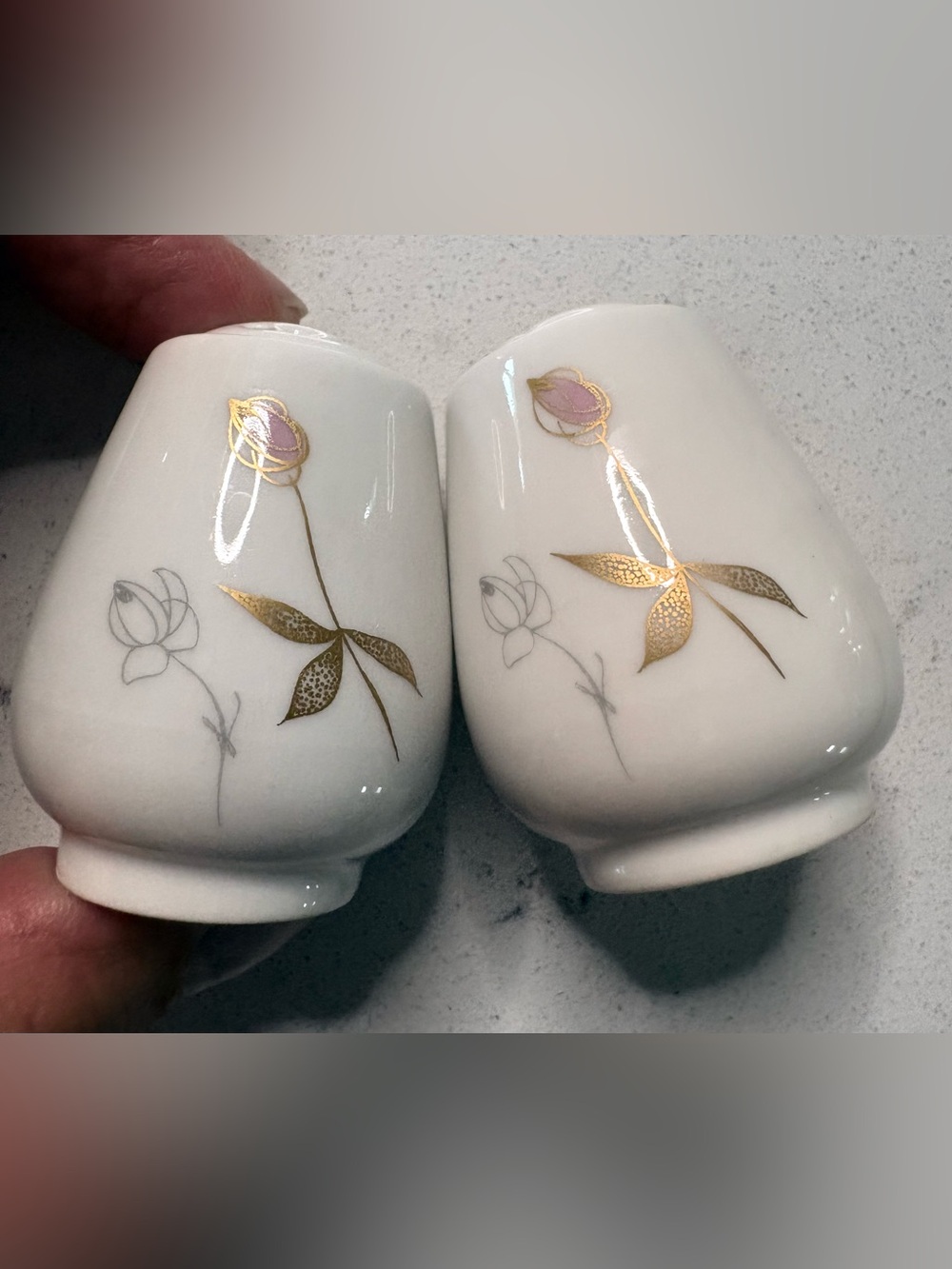 Vintage Rosenthal Selb-Plossberg Germany Salt & Pepper shakers
